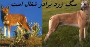 مجید محمدی :اصلاح طلبان هیچ خطری برای نظام ندارند