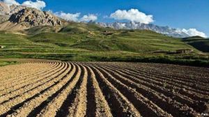 خاک مرغوب ایران به قطر و امارات قاچاق می‌شود