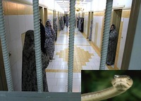  وجود دو مار سمی در بند زنان زندان اوین