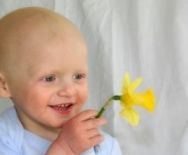 ۱۳ درصد ‌بیماران سرطانی استان مرکزی، درمان را رها کرده‌اند