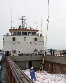 کارگران بارانداز بندرعباس از حداقل حمایت‌های اجتماعی محروم‌اند