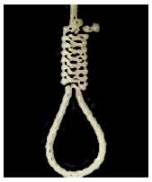 شش تن در یزد اعدام شدند/ پس از روی کار آمدن روحانی هر روز دو تن اعدام شدند