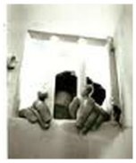 انتقال فرهنگ پورمنصوری به انفرادی پس از ضرب و شتم